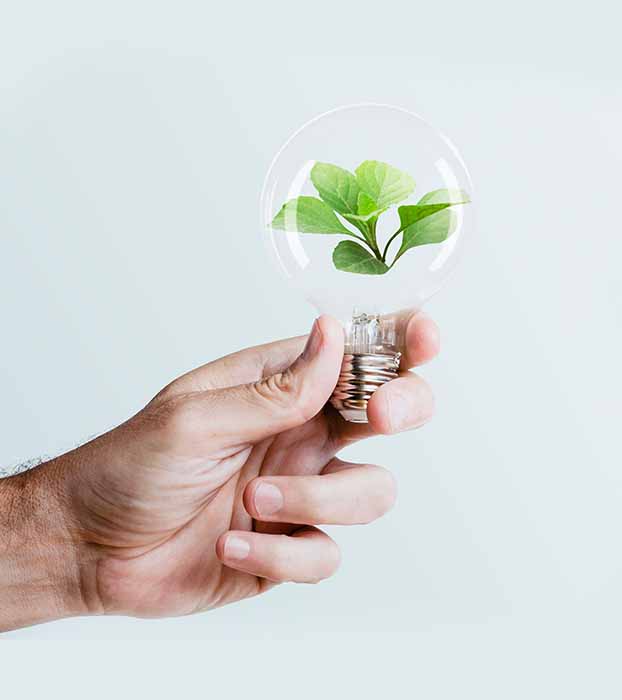 Instalaciones eléctricas en Elche.