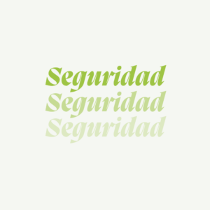 Seguridad y control de accesos